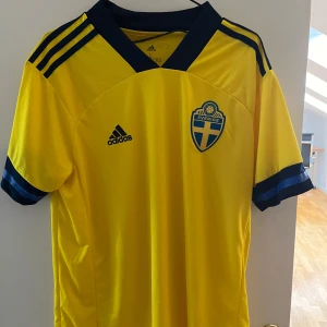 Sverige tröja  (fotbolls tröja) - Säljer en Sverige tröja som jag har ledsnat på har aldrig riktigt använt den har bara prövat den, 10/10 skick, pris kan diskuteras vid snabb affär.