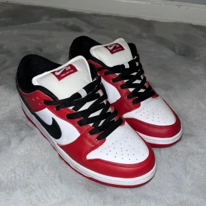 Nike Dunk low SB - Feta sällsynta dunks i nyskick har bara andvänt typ 1 gång | Nypris 5000kr | Hör av er vid minsta fundering🤗
