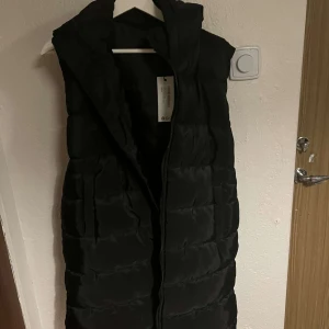 Svart dunväst från Boohoo - Säljer en svart dunväst från Boohoo i helt nytt skick den är aldrig använd. Västen är perfekt för höst och vinter med sin quiltade design och dragkedja framtill. Den har en stilren look och är supermysig att ha på sig när det är kallt ute. Passar perfekt för lager-på-lager-stil!