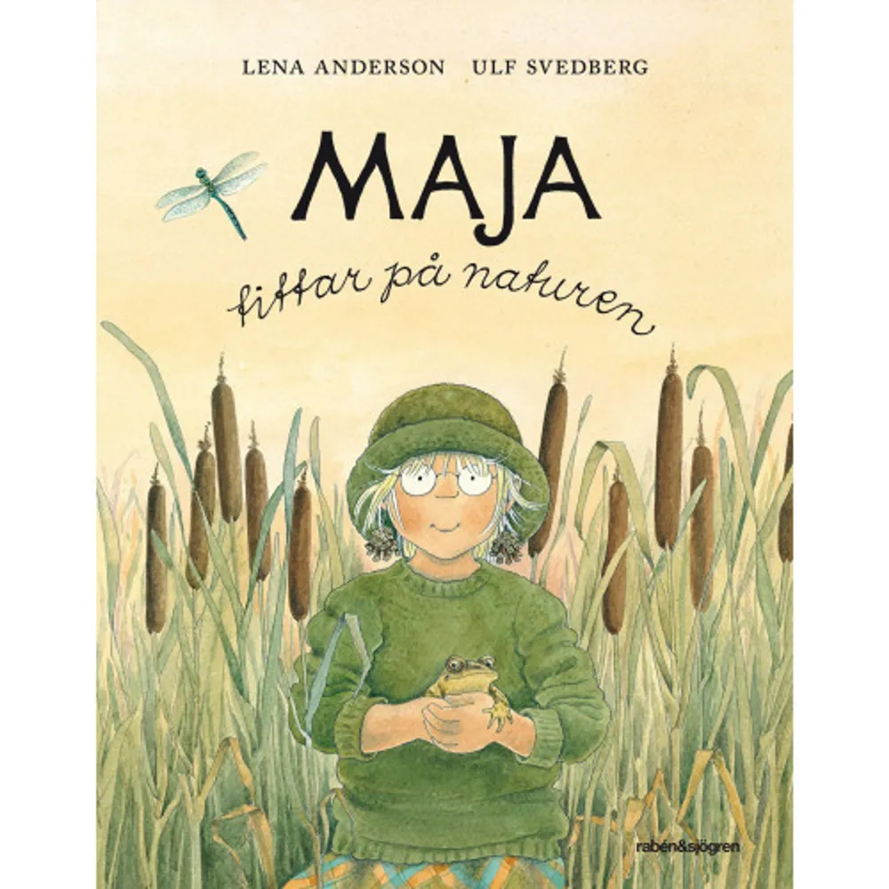 Upptäck allt spännande som händer i naturen när vår blir till sommar, löven börjar falla och frosten slår till. Följ med Maja ut i skog och mark och förundras över insekter, fiskar, fåglar och allt det magiska som sker runt omkring oss om vi bara stannar upp och tittar oss omkring en stund. Genom Majas nyfikenhet, humor och naturglädje får vi veta hur gammalt trädet är, vad som händer med fröet när det planterats, hur man ser skillnad på en gräshoppa och en vårtbitare och mycket mer.Det finns nog ingen som har lärt generationer av barn så mycket om naturen som Maja. Där finns ju så mycket att se och upptäcka! I denna nyutgåva av Maja tittar på naturen (utkom första gången 1983) har Lena Andersons klassiska bilder fått nytt liv och Ulf Svedbergs text varsamt anpassats och fått ny, luftigare form.Våren kommer och sommaren går,av näbbmus syns inte minsta spår.När hösten ruskar i lönnens gull,har igelkott somnat i lövhögens mull.Och snart ligger isen blank över vikenoch hela året är Maja nyfiken.    Format Inbunden   Omfång 50 sidor   Språk Svenska   Förlag Rabén & Sjögren   Utgivningsdatum 2019-03-15   Medverkande Ulf Svedberg   Medverkande Emilie Crispin Ekström   Medverkande Lena Anderson   ISBN 9789129714135  . Böcker.