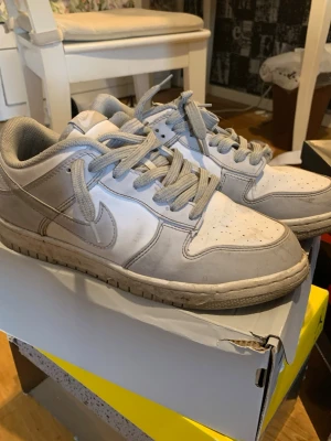 Nike Dunk Low gråvita sneakers - Fina skor