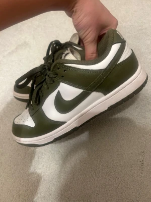 Nike skor - Grön och vita Nike skor som knappt kommit till användning💚fint skick