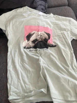 Grön t-shirt med mops från Lindex - Ljusgrön t-shirt från Lindex med tryck av en söt mops och texten 'How about going out.' på bröstet. T-shirten har korta ärmar och en rosa bakgrund bakom motivet. Perfekt för dig som gillar hundar och vill ha en chill look.