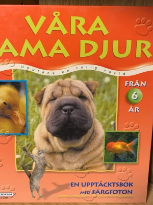 Våra tama djur upptäcktsbok - Upptäcktsbok med färgfoton om tama djur, perfekt för dig som vill lära dig mer om hur djur lever, vad de äter och hur de kommunicerar. Boken är rikt illustrerad och passar från 6 år. Skriven av Yves Verbeek och utgiven av Kärnan.