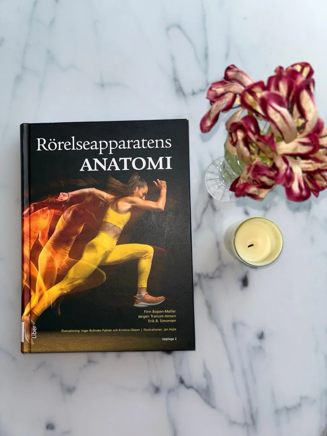 Rörelseapparatens anatomi kursbok