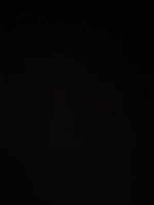 Skidskor - Bilden är för mörk för att identifiera varan eller ge en detaljerad beskrivning.