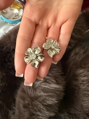 Örhängen  - Knappt använd ❤️