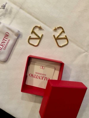Valentino Garavani Örhängen - Helt nya Valentino Garavani örhängen. Aldrig använda med förpackning och dustbag 💛