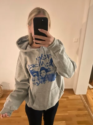 Grå hoodie med tryck - Säljer en grå hoodie med trycket Mount RapMore'. Använt typ en gång så den är örecis som ny, fortfarande den mjuka insidan som ny.