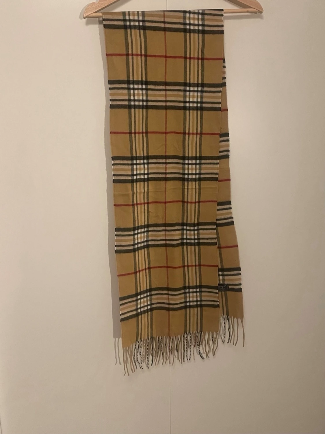 Burberry/scarf