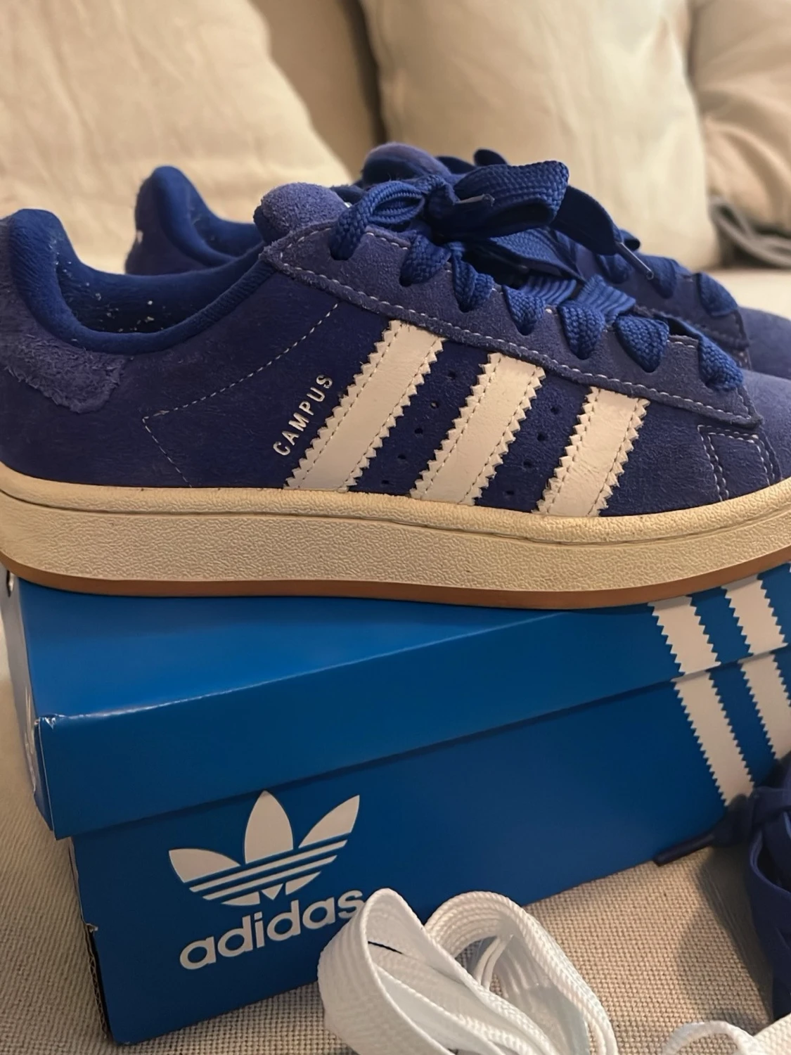 Blå Adidas Campus sneakers - 2