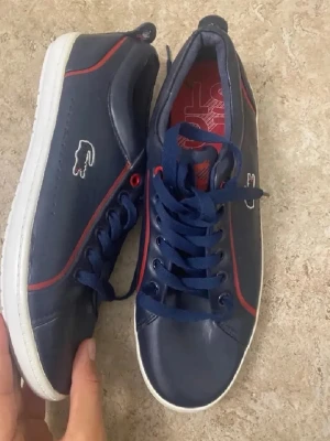 Mörkblå Lacoste sneakers med röd detalj - Snygga mörkblå sneakers från Lacoste med klassisk krokodillogga på sidan. Skorna har röda detaljer längs kanterna och vita sulor. Ovandelen är i slätt material och de har blå skosnören. Perfekta för en sportig och stilren look.