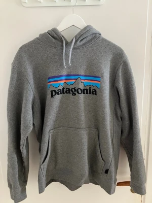 Grå Patagonia hoodie med logga - Snygg grå hoodie från Patagonia med klassisk logga och bergmotiv i blått, lila och svart på bröstet. Hoodien har huva med dragsko och stor magficka framtill. Tillverkad i mjuk bomullsblandning, perfekt för chill dagar eller när du vill ha en avslappnad stil.