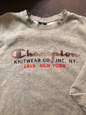 Grå sweatshirt från Champion - Står L i kragen men skulle säga att den är mer som en M, skulle passa en S också om man vill ha den oversize. Använd men i fint skick. 