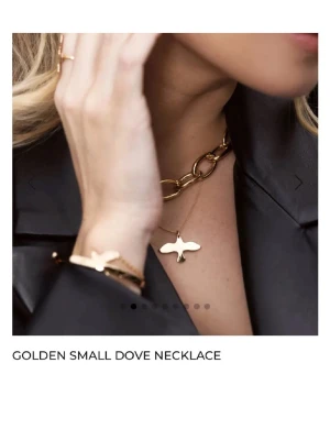 Guldigt halsband Emma Isrealsson  - Säljer ett elegant halsband i guld med en liten duvformad berlock från Israelsson. Kedjan är tunn och stilren, och berlocken har en blank finish med ingraverad text på baksidan. Perfekt för dig som gillar minimalistiska smycken med symbolisk touch.