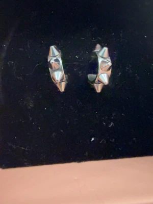 Silvriga hopps från Edblad - Säljer ett par jättefina hoops från Edblad. Snabb affär!💓