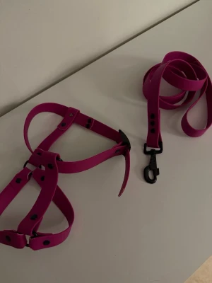 Rosa sele och koppel i konstläder - Säljer ett set med sele och koppel i stark rosa färg. Båda delarna är gjorda i ett slätt konstlädermaterial med svarta metalldetaljer och tryckknappar. Kopplet har en svart karbinhake för enkel fastsättning. Perfekt för dig som vill ha något färgglatt och stilrent.