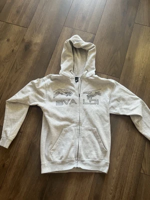 Grå hoodie med dragkedja från Bvaldi - Snygg grå hoodie från Bvaldi med dragkedja framtill och två fickor. På bröstet finns coola handmotiv och texten 'BVALDI' i stenar som ger extra bling. Hoodien har en klassisk huva med dragsko och är gjord i mjukt bomullsmaterial. Perfekt för en chill och trendig look.