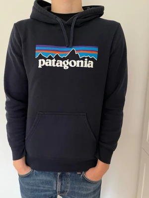 Patagonia hoodie - Patagonia hoodie i riktigt bra skick. Storlek S.