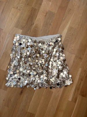 Guldig paljettkjol  - Guldig paljett kjol från asos 🤩. Använd typ 2 ggr