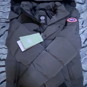 Svart dunjacka från Canada Goose - Säljer en svart dunjacka från Canada Goose med pälsdetalj på huvan. Jackan har en broderad logotyp på ärmen och stängs med dragkedja och knappar. Perfekt för kalla vinterdagar.