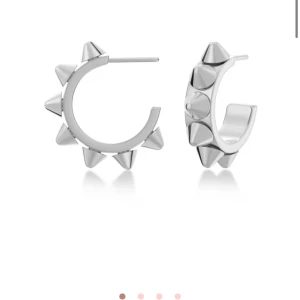 Edblad örhängen  - Edblad örhängen, säljer då jag inte använder silver. Inga defekter. Nypris:400kr