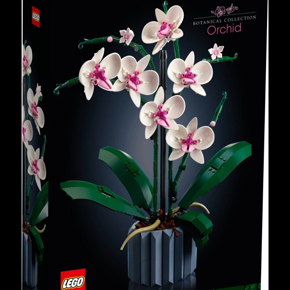 LEGO Botanical Collection Orchid - 1