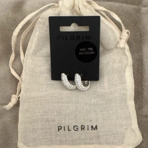 Örhängen från Pilgrim Lona - Säljer ett par silvriga Hoops LONA från Pilgrim! Nya Aldrig använt!
