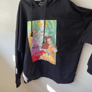 Dinsey prinsessorna  - En super fin skick tröja med Disney prinsessorna. Storlek large 