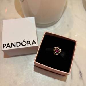 Nyskick! Passar Pandora moments armband🩷