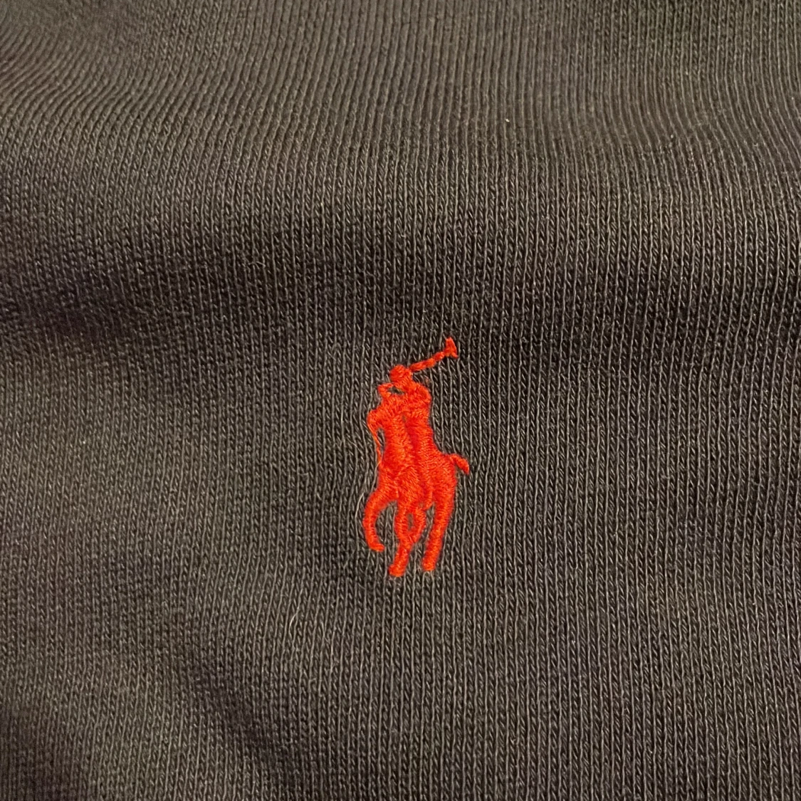 Blå hoodie från Polo Ralph Lauren - 2