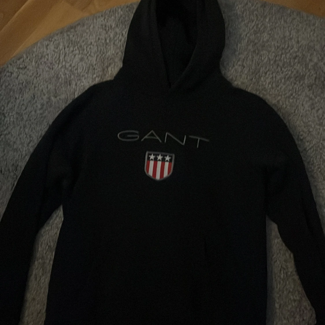 En gant Hoodie 