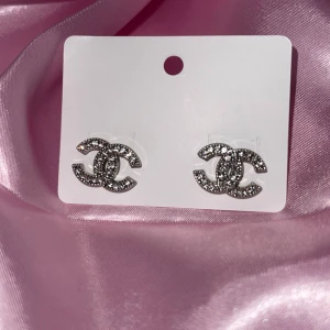 Örhängen  - Rostfritt stål helt nya