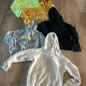 Hoodies  - Säljer dessa hoodies alla för 100kr, kan även säljas styckvis💕 Beige/rosa från H&M strl XS Grå från Gina tricot strl XS Svart från Gina tricot strl S Gul från Gina tricot strl S Grön från Gina tricot strl S 