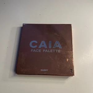 Sassy caia palett - Sassy paletten ifrån caia, använd men finns fortfarande mycket produkt kvar, lägger sig jättefint. 