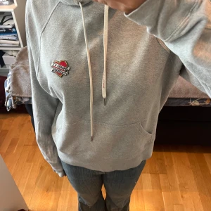 Zadig Voltaire hoodie  - Jättefin hoodie från Zadig.  Nypris 1500 kr 