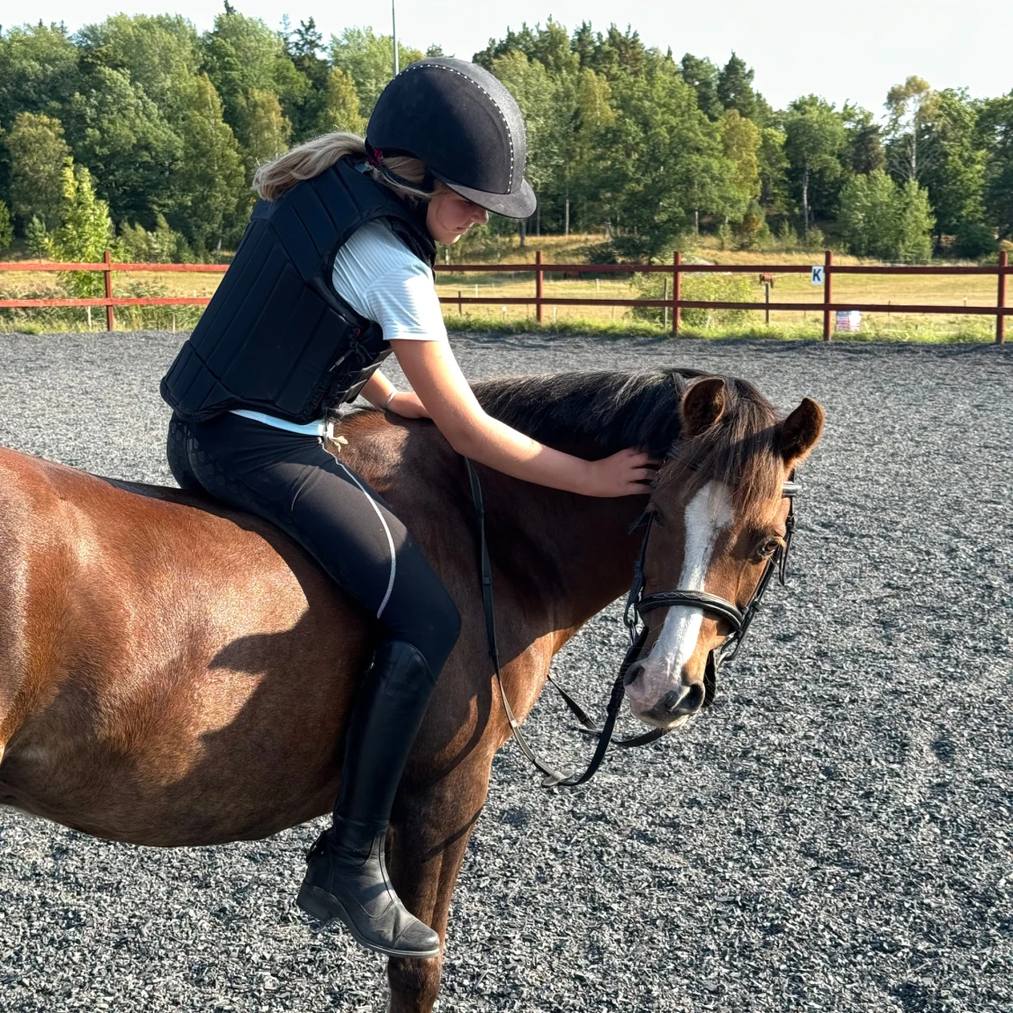  Söker Medryttarhäst - 92