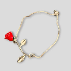 Bracelet  - Used once