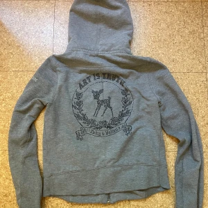 Zadig & Voltaire hoodie - Grå zadig & voltaire hoodie. Använd men fortfarande i gott skick. Kan skicka fler bilder vid behov