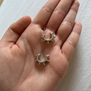 Silvriga örhängen med nitar - Örhängen med nitar