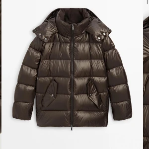 Brun Massimo dutti jacka  - Säljer min bruna Massimo dutti jacka som jag köpte för en månad sedan ny i butiken i Stockholm. Har hittat en annan därför säljer jag den. Nyskick!!