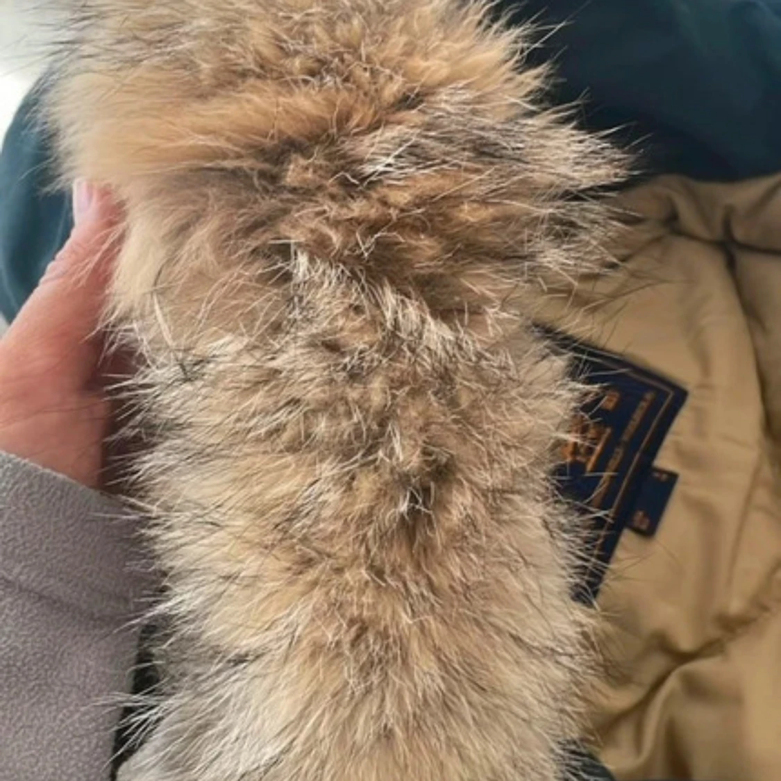 Woolrich arctic Mörkblå - 91