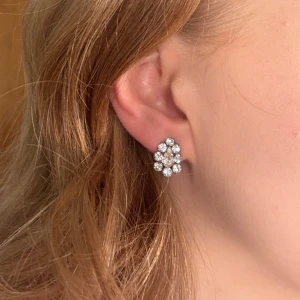 Droppformade clipps örhängen med stenar - Clipps örhängen med glittrande stenar. Designen har en droppformad sten i mitten omgiven av mindre runda stenar. Perfekta för att ge en elegant touch till din outfit.