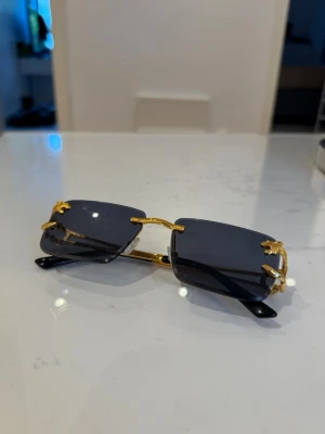 Solglasögon  - Snygga solglasögon med rektangulära, mörka linser och guldfärgade detaljer. Skalmarna är svarta och bågarna har en tunn, elegant design. Perfekta för dig som vill ha en stilren och trendig look i sommar.
