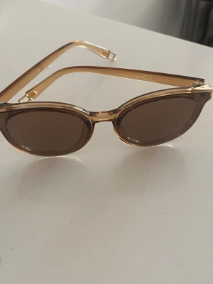 Bruna ovala solglasögon - Snygga solglasögon med transparent brun plastbåge och ovala linser i mörkbrunt. Perfekt accessoar för att höja din stil på sommaren. Lätta och bekväma att bära med en trendig retrovibe.