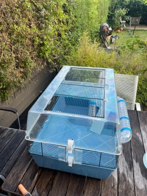 Hamster bur med tillbehör - Säljer en blå och genomskinlig hamsterbur i plast med svart gallerlock och en ansluten genomskinlig tunnel på sidan. Perfekt dig som vill köp en hamster. Buren har flera öppningar och smart ventilation. Buren från början kostade 1800 men de all tillbehör kostade väldigt mycket mer, buren blir lite svår att sicka därför hade de kunnat vara bra om ni hade kunnat hämta buren i lomma. För mer information skriv💕💕
