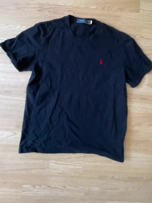 Ralph Lauren T-Shirt - Fin T-shirt i mycket gott skick. Inga defekter.