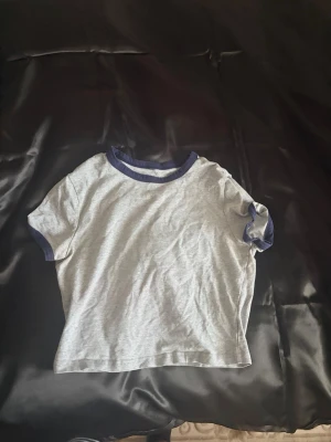 Grå t-shirt med blå detaljer - En enkel grå t-shirt med mörkblå ribbade kanter vid halsringning och ärmslut. T-shirten har en klassisk passform och är kortärmad, perfekt för en avslappnad stil. Materialet känns mjukt och bekvämt, troligen bomull.