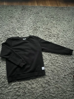 Svart sweatshirt från Andy by Frank Dandy - En stilren svart sweatshirt från Andy by Frank Dandy i storlek L. Tröjan har rund halsringning, långa ärmar och ribbade muddar vid ärmslut och nederkant. Perfekt för en avslappnad look och enkel att matcha med det mesta.