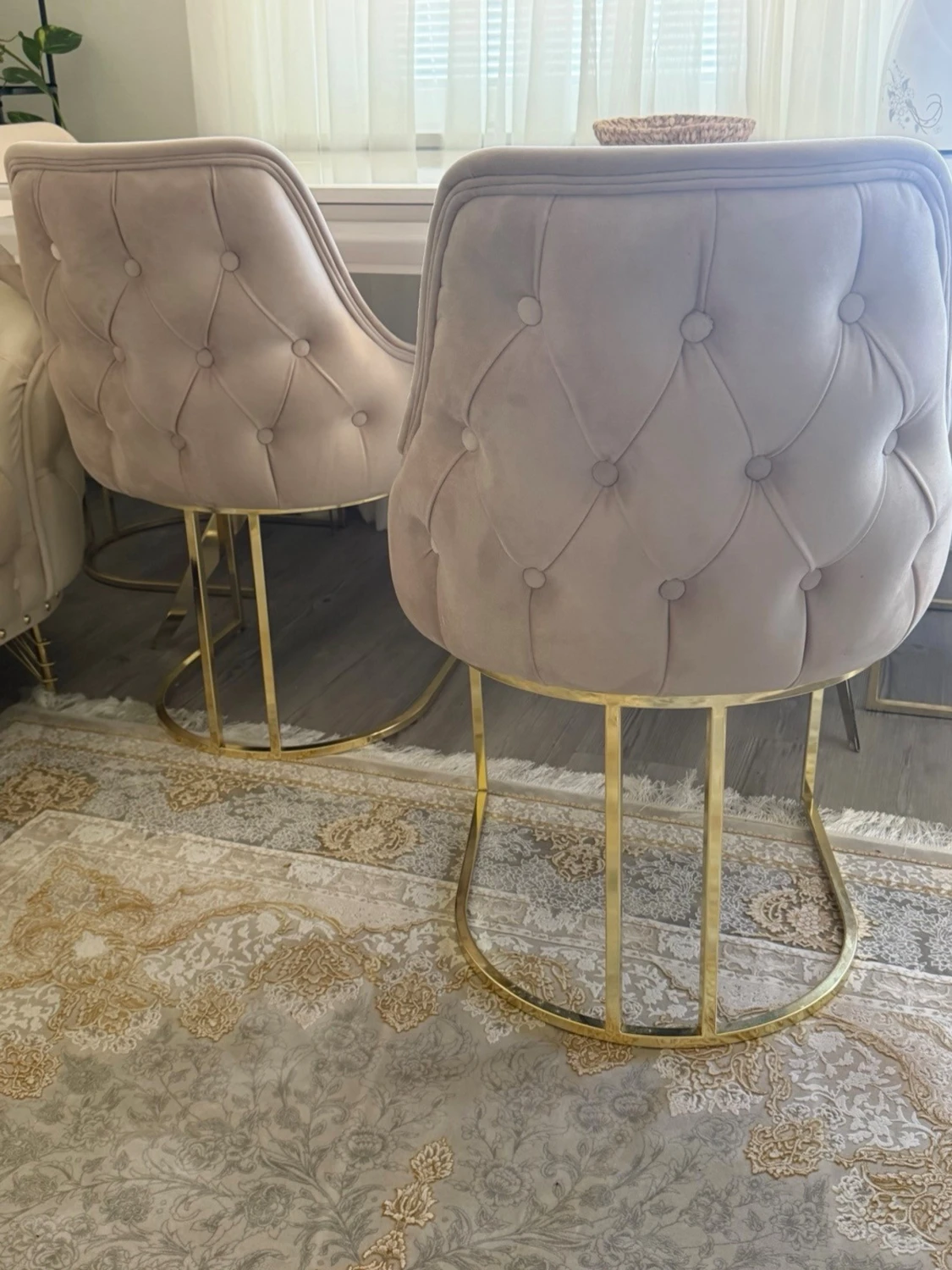 Beige sammetsstolar med guldfärgade ben - 2